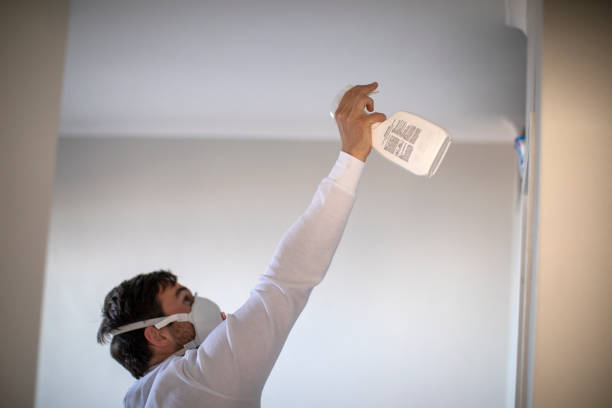 Best Water Damage Restoration  in Indialantic, FL